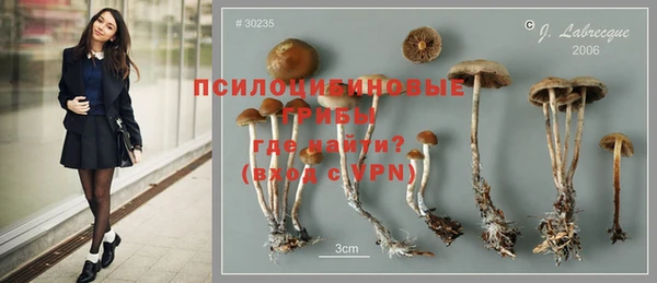 спиды Белокуриха