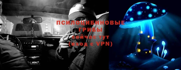 спиды Белокуриха