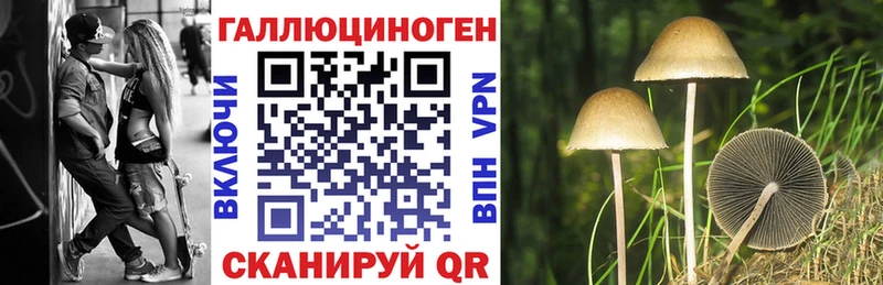 Псилоцибиновые грибы Psilocybine cubensis  гидра ссылки  Окуловка 